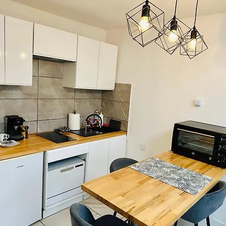 Apartament Lion *